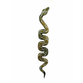 Статуетка Змея ползущая тонкая (фа-з-44)